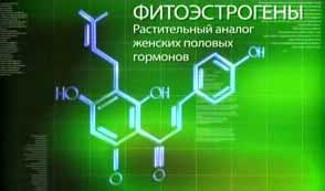 Пиво содержит фитоэстрогены - аналог женского полового гормона